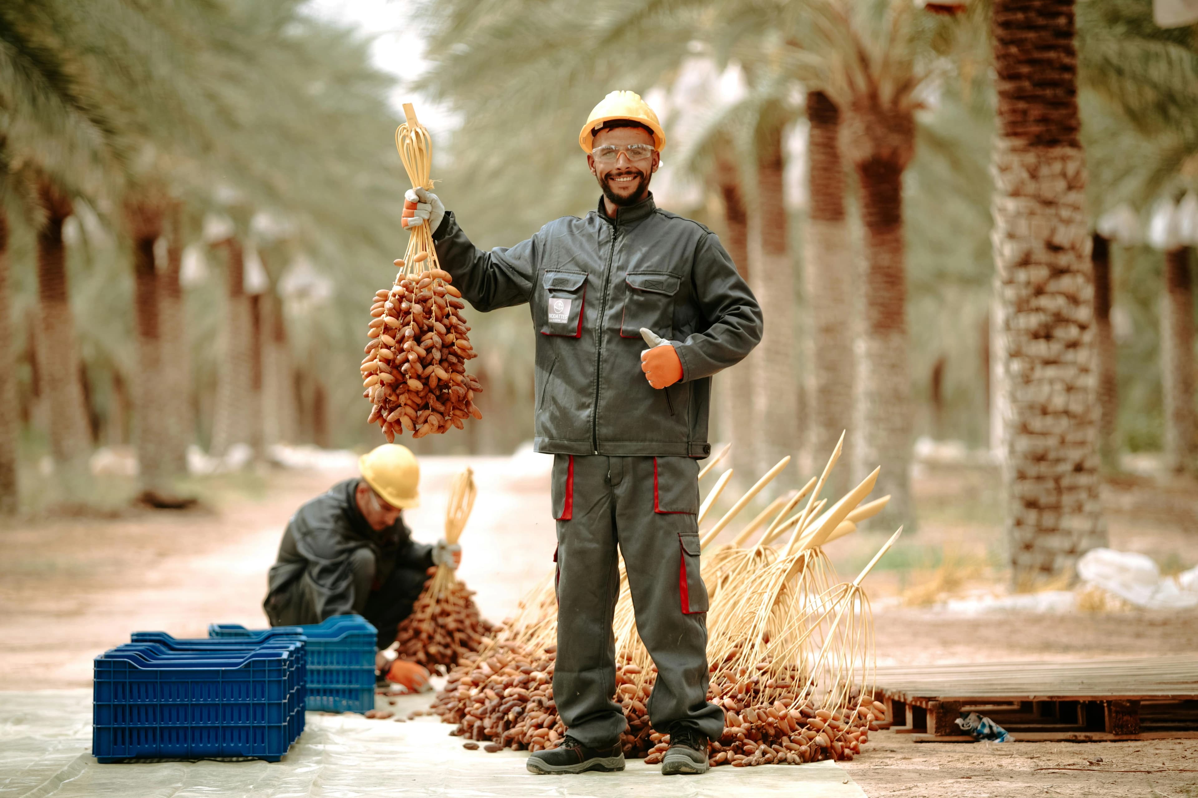 Premium Dates