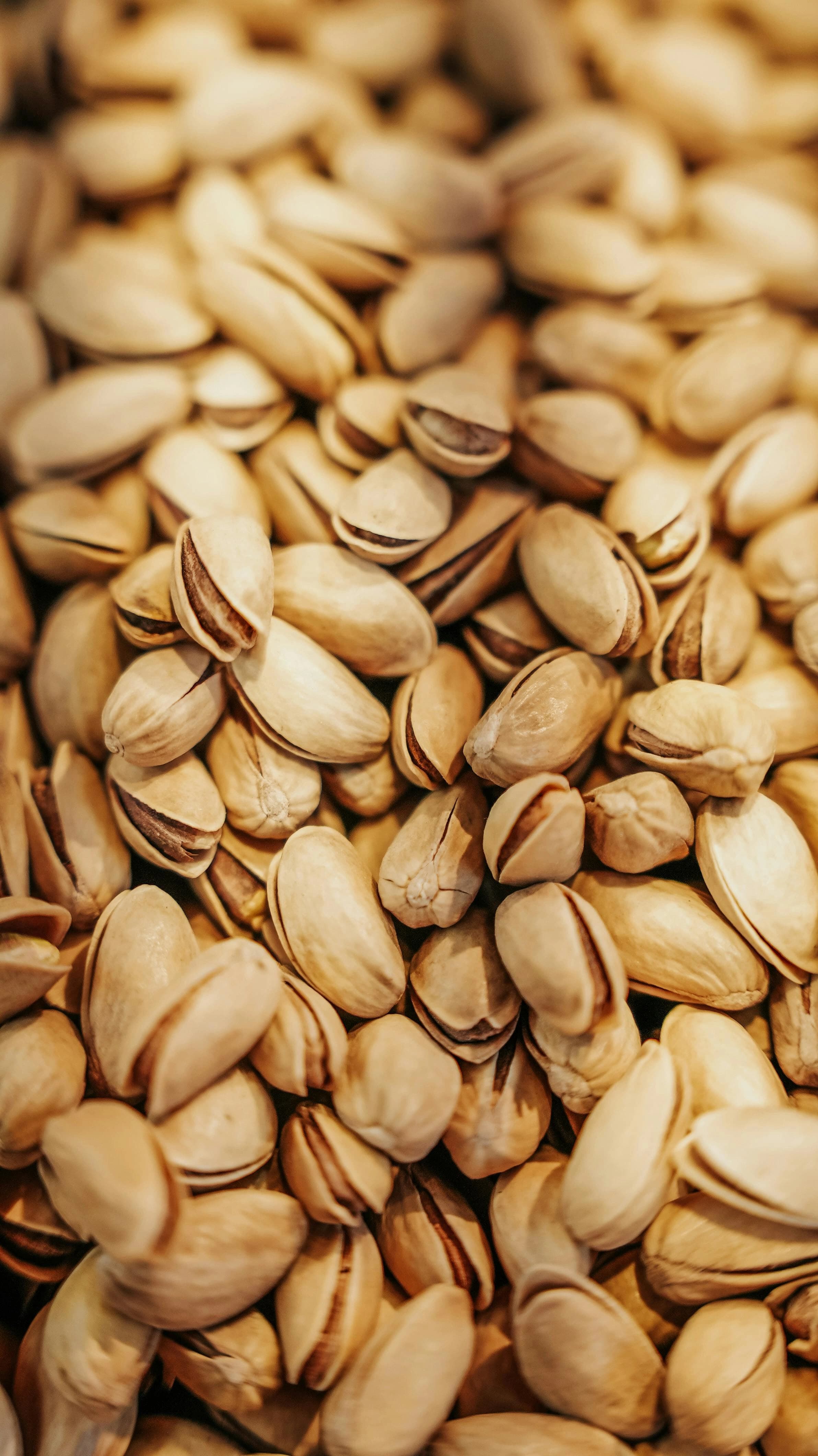 Dry Fruits